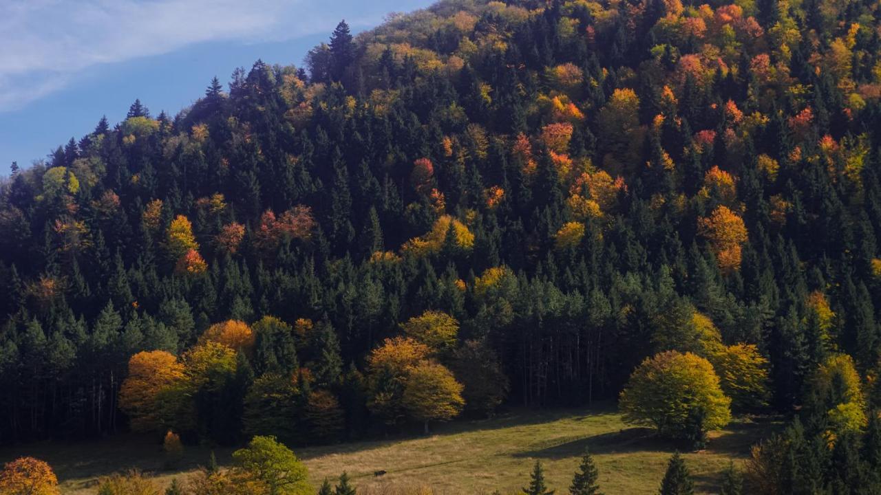 Landhaus 보르조미 외부 사진