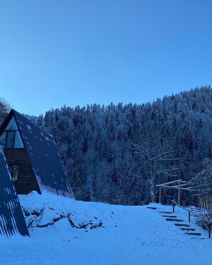 Landhaus 보르조미 외부 사진