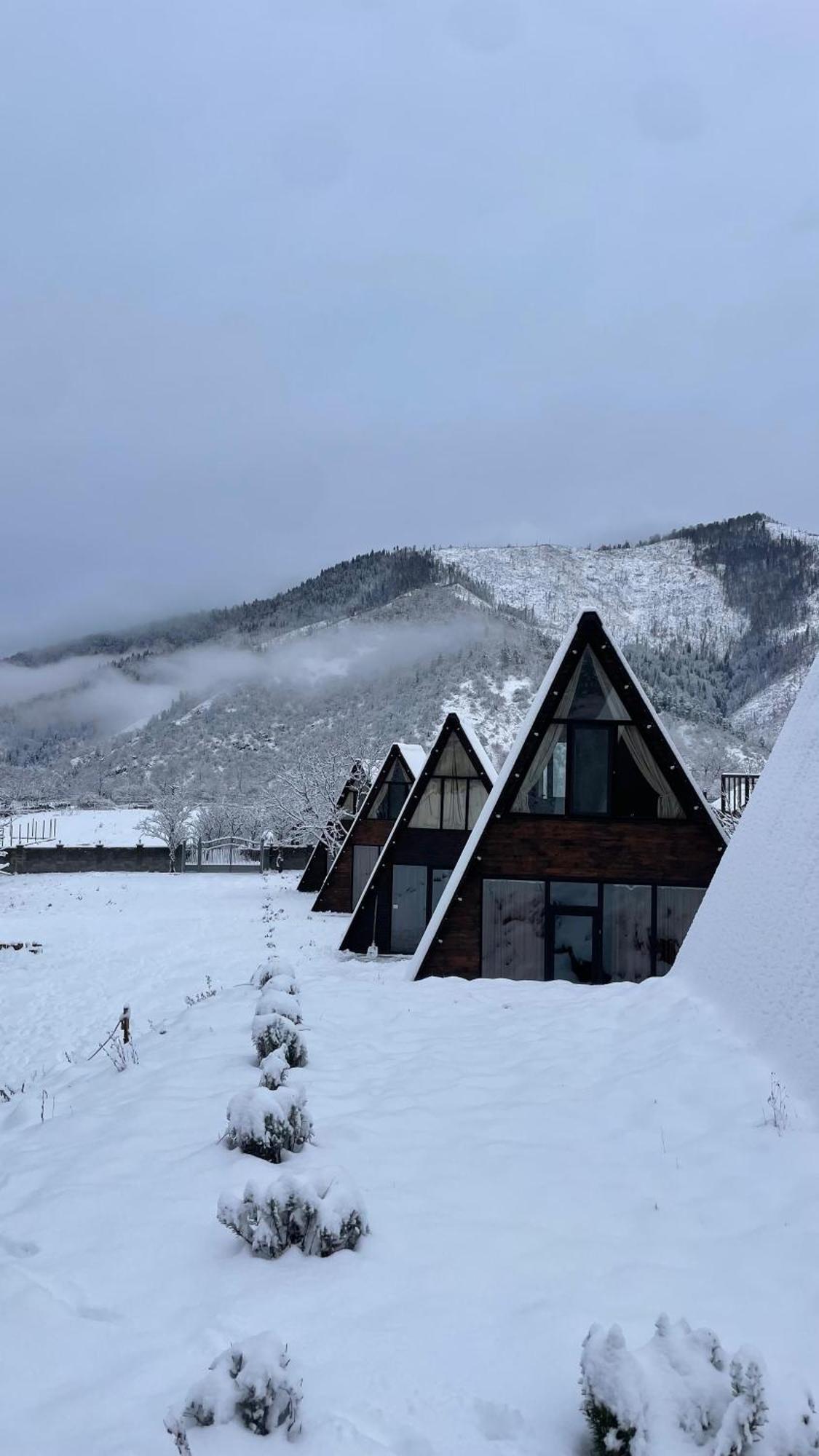Landhaus 보르조미 외부 사진