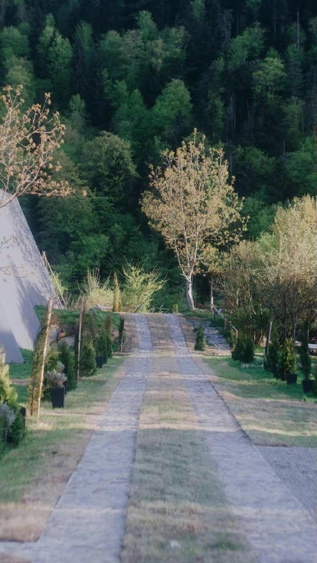 Landhaus 보르조미 외부 사진